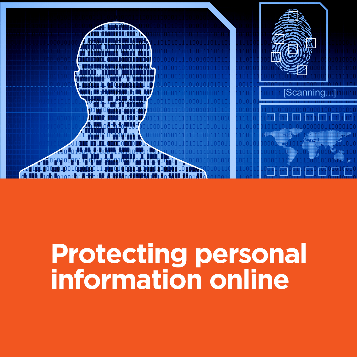 Protecting personal information online