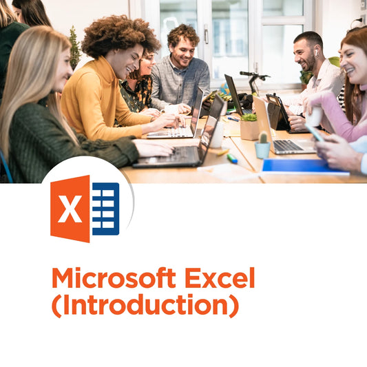 Microsoft Excel (Introduction)