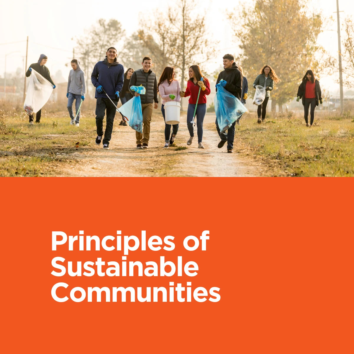 Principles of Sustainable Communities