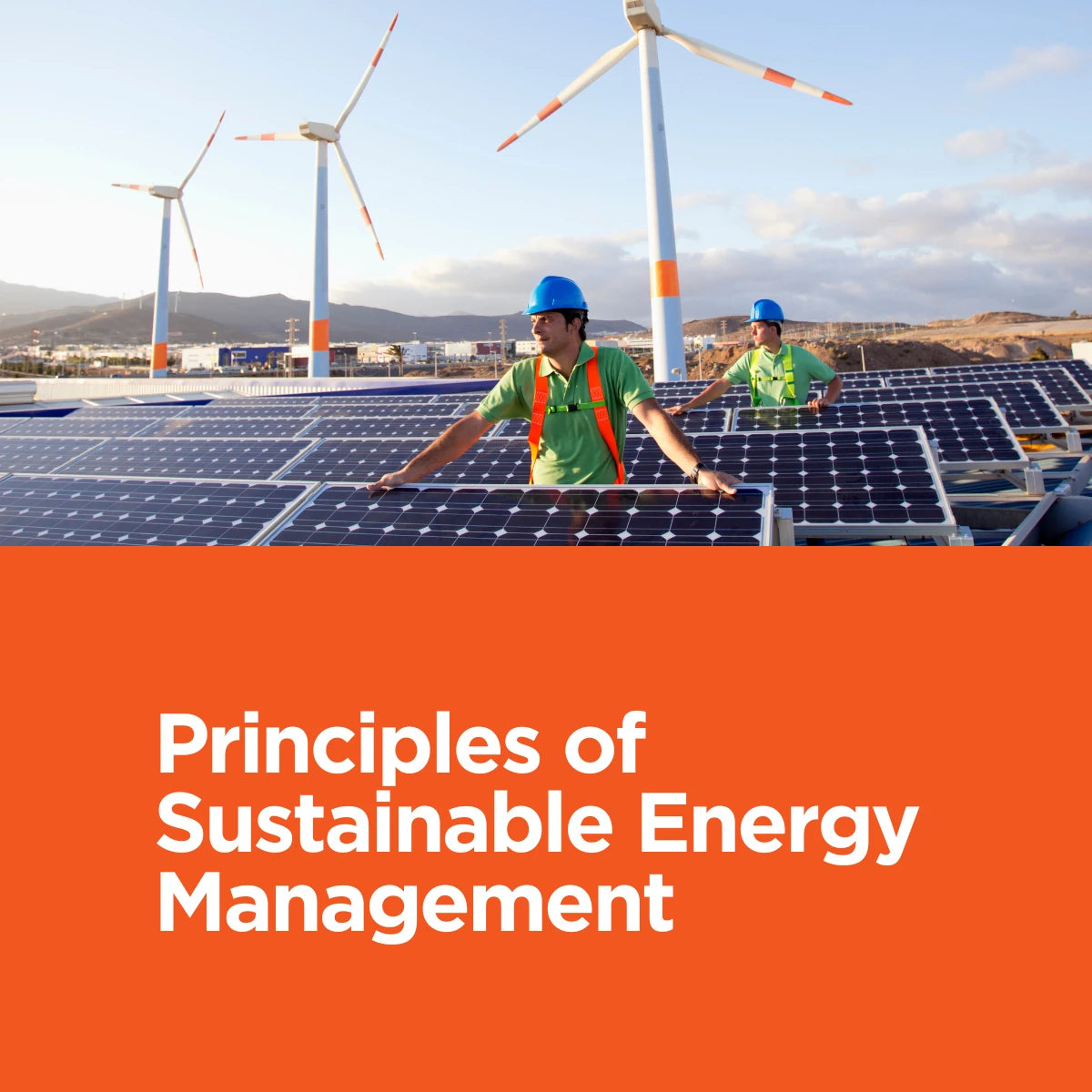 Principles of Sustainable Energy Management