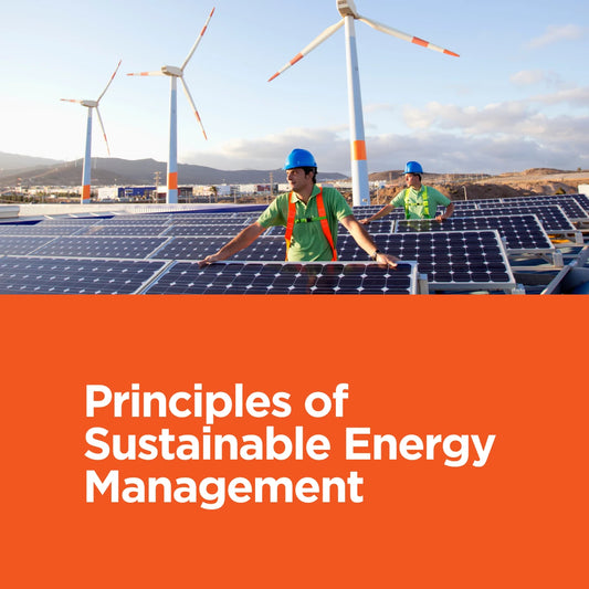 Principles of Sustainable Energy Management