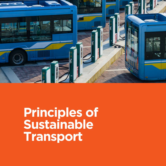 Principles of Sustainable Transport