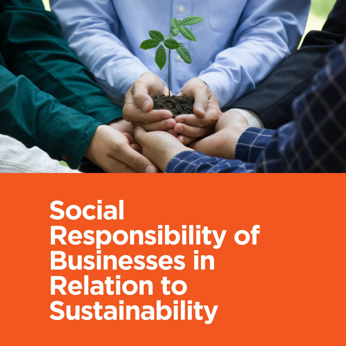 Social Responsibility of Businesses in Relation to Sustainability