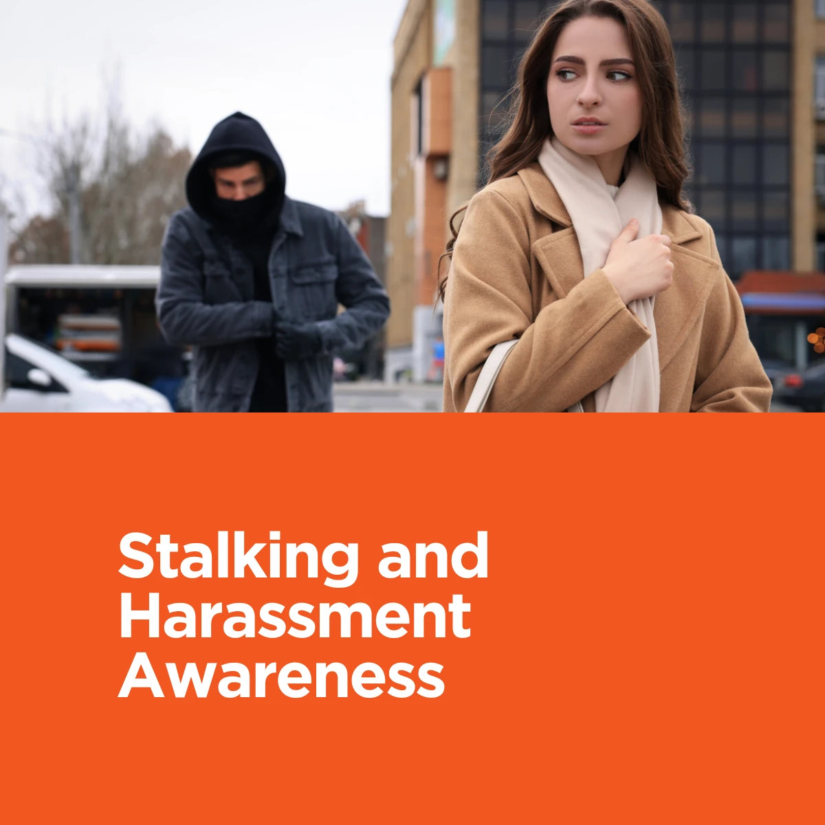 Stalking and Harassment Awareness (CPD Certified) – B-Skill Limited