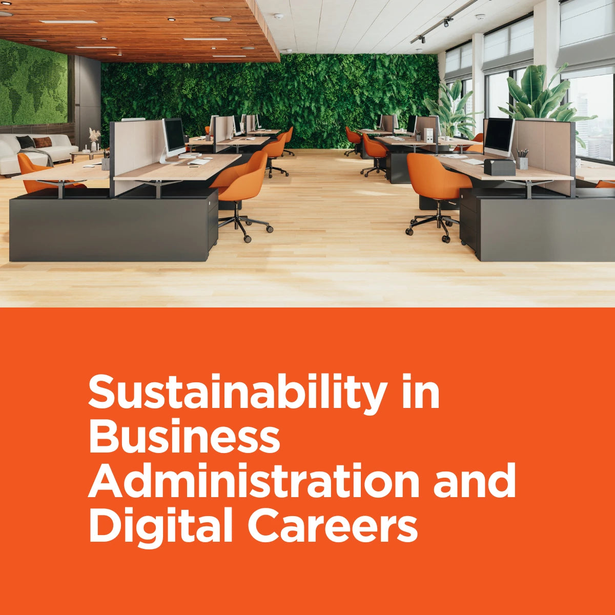 Sustainability in Business Administration and Digital Careers